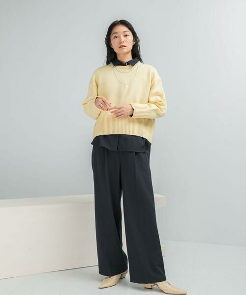 URBAN RESEARCH ROSSO / アーバンリサーチ ロッソ ニット・セーター | 『WEB/一部店舗限定』エクストラファインシームデザインニット | 詳細2