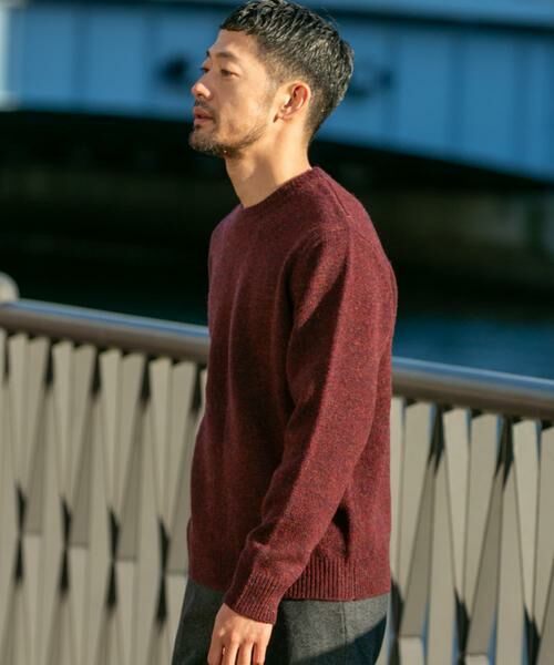 URBAN RESEARCH ROSSO / アーバンリサーチ ロッソ ニット・セーター | 『XLサイズあり』シェットランドウールクルーネックニット | 詳細2