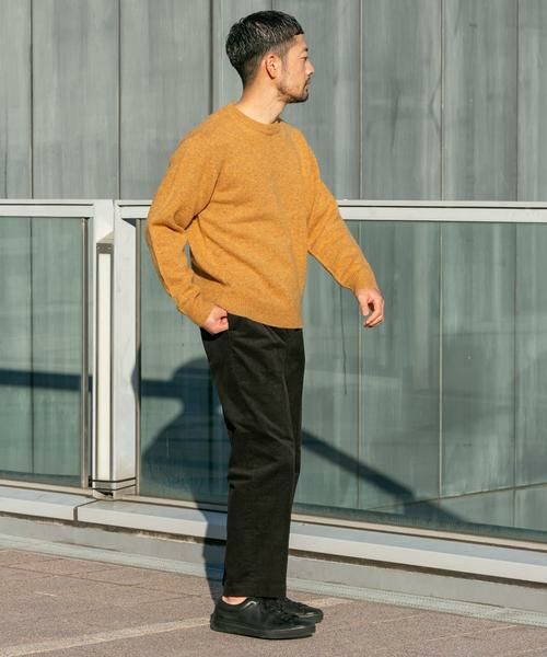 URBAN RESEARCH ROSSO / アーバンリサーチ ロッソ ニット・セーター | 『XLサイズあり』シェットランドウールクルーネックニット | 詳細13