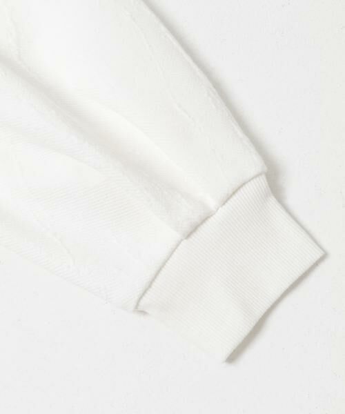 URBAN RESEARCH ROSSO / アーバンリサーチ ロッソ スウェット | タックスリーブジャガードスウェット | 詳細4