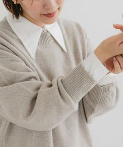 URBAN RESEARCH ROSSO / アーバンリサーチ ロッソ シャツ・ブラウス | F by ROSSO　トリミングレースビッグカラーシャツ