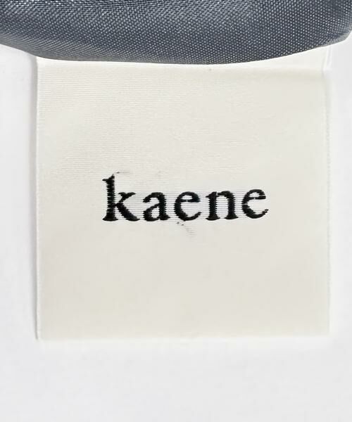 URBAN RESEARCH ROSSO / アーバンリサーチ ロッソ ドレス | kaene　レイヤードペプラムドレス | 詳細8