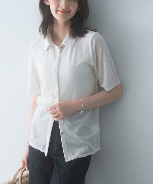 URBAN RESEARCH ROSSO / アーバンリサーチ ロッソ Tシャツ | シアーストライプベロアポロカットソー | 詳細1