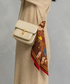 manipuri　65フロシス