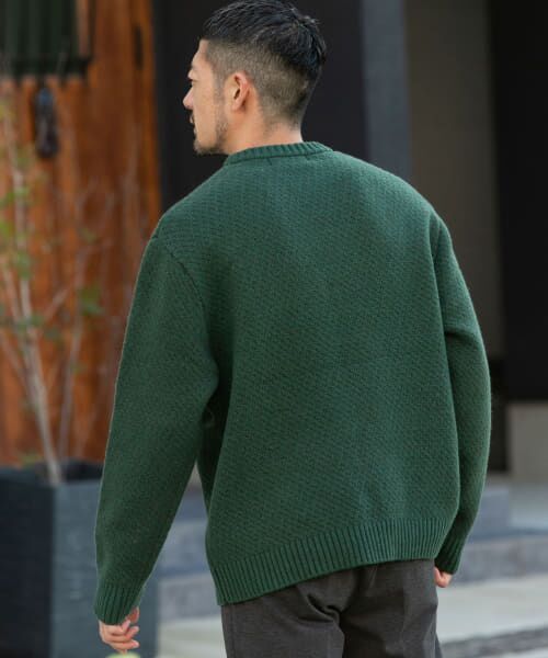 【美品】ラルフローレン ニット ウール 総柄 バーズアイ 中古・古着通販】RALPH LAUREN (ラルフローレン) ネイティブ柄