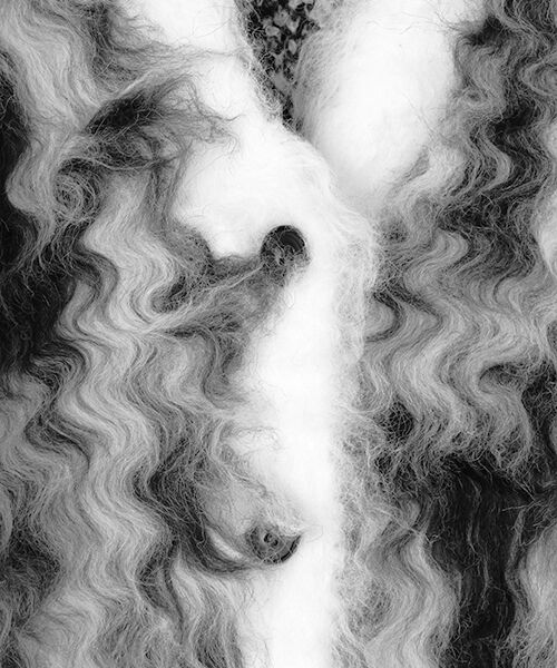 VERSEAU / ヴェルソー カーディガン・ボレロ | フラッフィーハウンドカーディガン | 詳細4