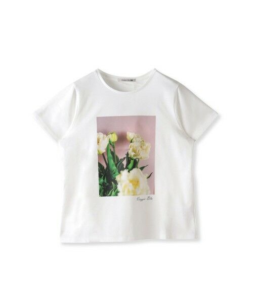 Viaggio Blu / ビアッジョブルー カットソー | フォトプリントTシャツ≪洗濯機で洗える≫ | 詳細8