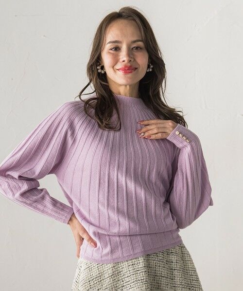 Viaggio Blu / ビアッジョブルー ニット・セーター | 【WEB限定カラーあり】シームレスニット（パープル）