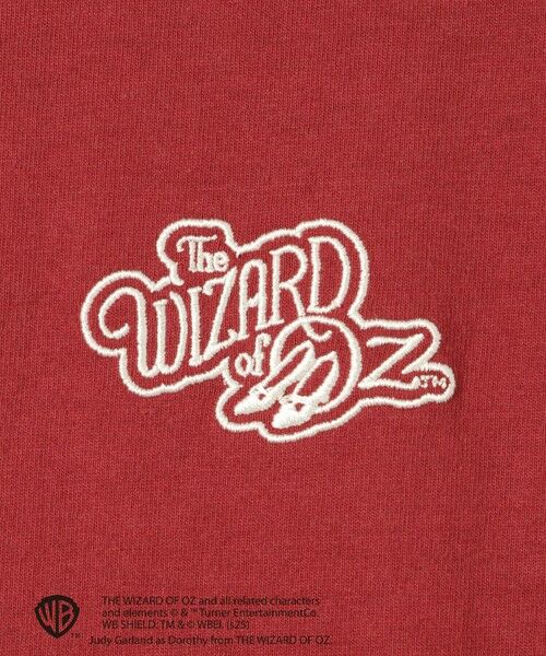 VICKY / ビッキー カットソー | OZTMバックフォトプリントTシャツ≪洗濯機で洗える≫ | 詳細9