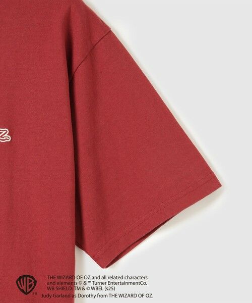 VICKY / ビッキー カットソー | OZTMバックフォトプリントTシャツ≪洗濯機で洗える≫ | 詳細12