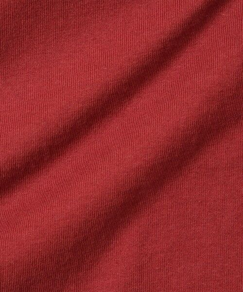 VICKY / ビッキー カットソー | OZTMバックフォトプリントTシャツ≪洗濯機で洗える≫ | 詳細14