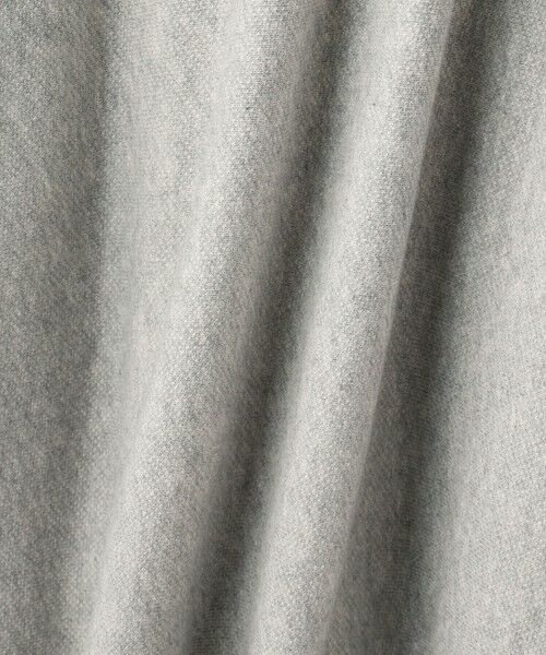 VICKY / ビッキー カットソー | トンプキン裏毛カレッジロゴプルオーバー≪洗濯機で洗える≫ | 詳細15