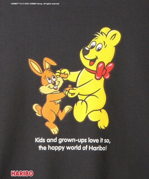 VICKY / ビッキー カットソー | HARIBO/DANCEゴールドベアPO≪洗濯機で洗える≫ | 詳細17