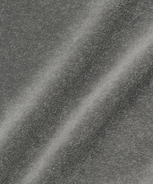 VICKY / ビッキー カットソー | シアーベロアロングスリーブカットソー【日本製】 | 詳細20