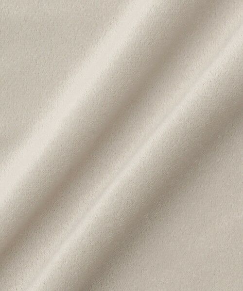 VICKY / ビッキー カットソー | シアーベロアTシャツ【日本製】 | 詳細24