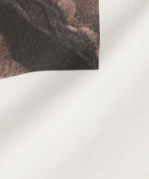 VICKY / ビッキー カットソー | アソートフォトロングTシャツ | 詳細14