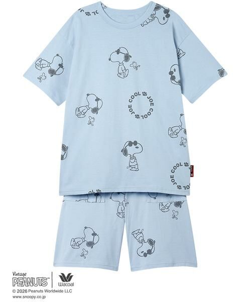 WACOAL RELAX&SLEEP / ワコール_リラックスアンドスリープ ルームウェア | レディスパジャマ　上下セット（ＦＤＴ１６９）（SX）