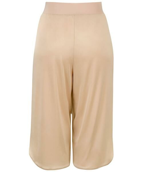 Wacoal / ワコール その他インナー・ルームウェア | キュロットペチコート（ＨＤＢ５２２） | 詳細2