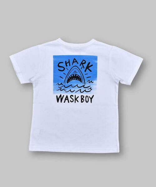 WASK / ワスク Tシャツ | サメ プリント 天竺 半袖 Tシャツ (100~160cm) | 詳細2