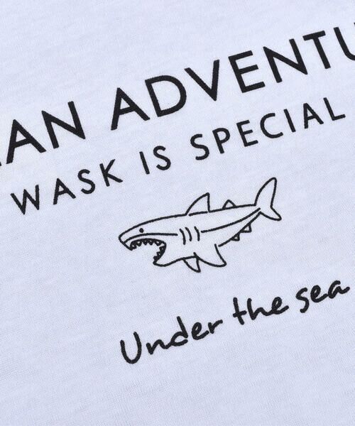 WASK / ワスク Tシャツ | サメ プリント 天竺 半袖 Tシャツ (100~160cm) | 詳細4