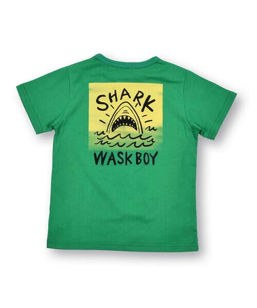 WASK / ワスク Tシャツ | サメ プリント 天竺 半袖 Tシャツ (100~160cm) | 詳細11