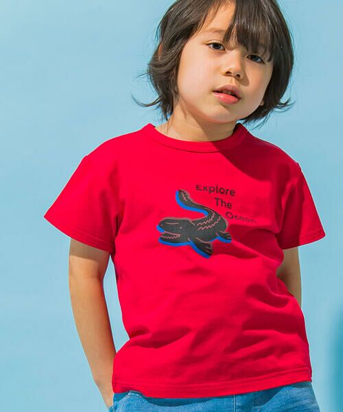 WASK / ワスク Tシャツ | 【接触冷感】恐竜ガラナレ天竺Tシャツ(100~160cm) | 詳細3