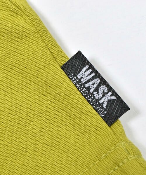 WASK / ワスク Tシャツ | 【接触冷感】恐竜アルファベットTシャツ(100~160cm) | 詳細22