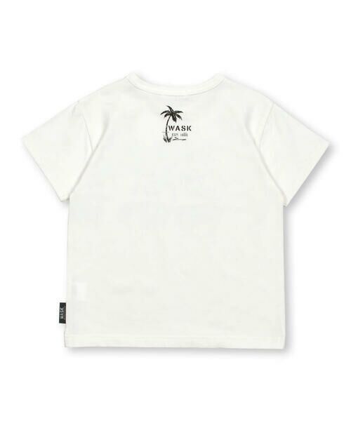 WASK / ワスク Tシャツ | 【速乾】水彩SUMMERプリント天竺Tシャツ(100~160cm) | 詳細5