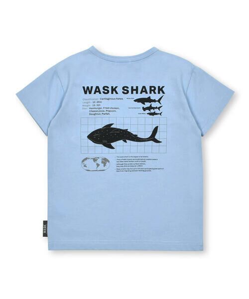 WASK / ワスク Tシャツ | 【接触冷感】WASK SHARK 天竺Tシャツ(100~160cm) | 詳細5