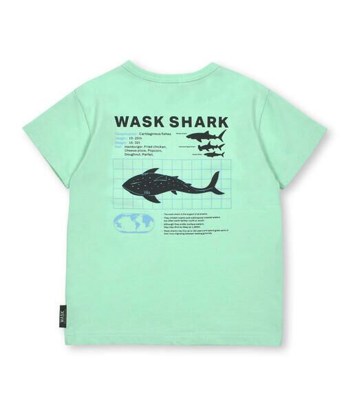 WASK / ワスク Tシャツ | 【接触冷感】WASK SHARK 天竺Tシャツ(100~160cm) | 詳細14