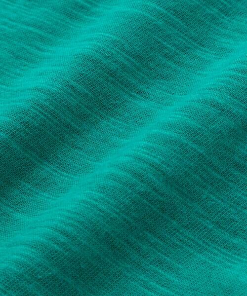 WASK / ワスク Tシャツ | 恐竜の愉快な仲間たちスラブ天竺Tシャツ(80~130cm) | 詳細14