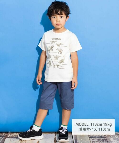 WASK / ワスク Tシャツ | 【速乾】恐竜図鑑プリントTシャツ(80~160cm) | 詳細1