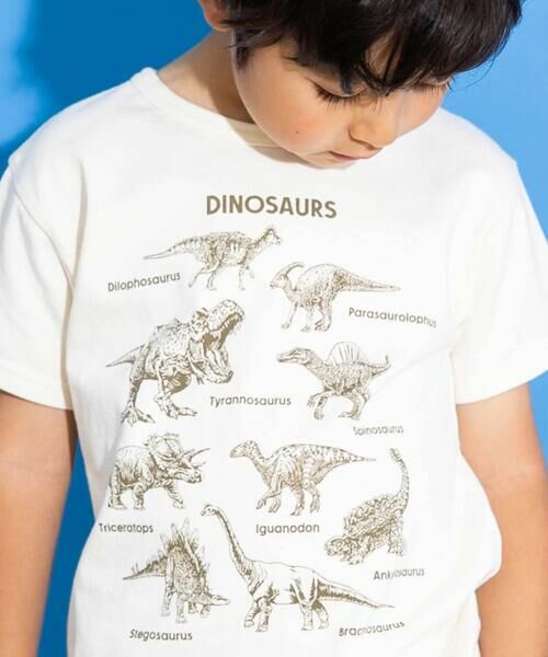 WASK / ワスク Tシャツ | 【速乾】恐竜図鑑プリントTシャツ(80~160cm) | 詳細4