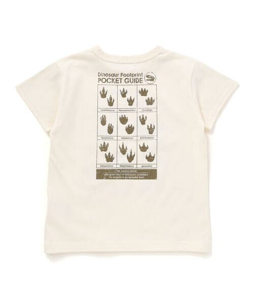 WASK / ワスク Tシャツ | 【速乾】恐竜図鑑プリントTシャツ(80~160cm) | 詳細6