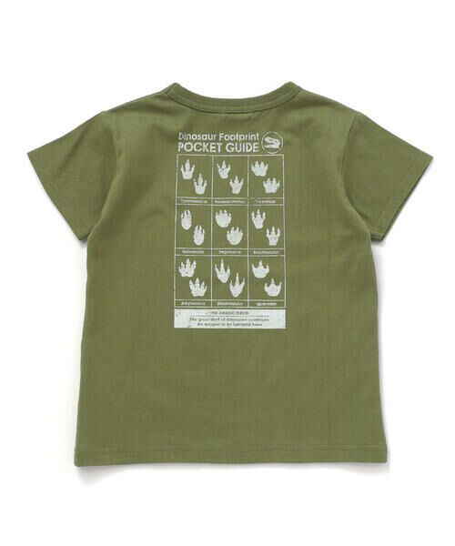 WASK / ワスク Tシャツ | 【速乾】恐竜図鑑プリントTシャツ(80~160cm) | 詳細11