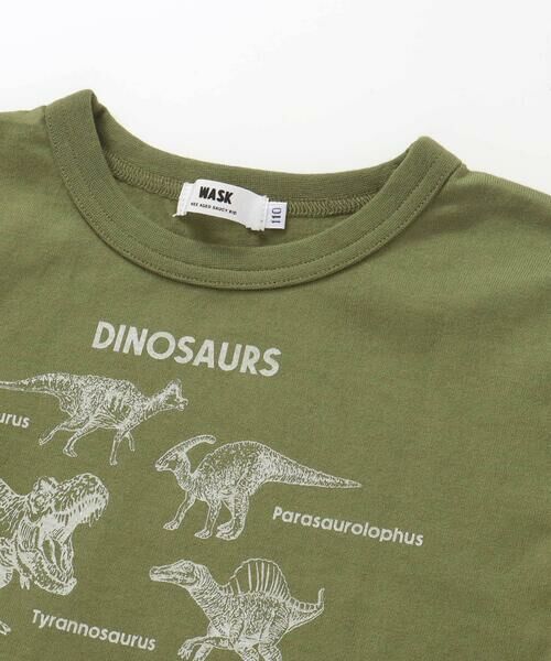WASK / ワスク Tシャツ | 【速乾】恐竜図鑑プリントTシャツ(80~160cm) | 詳細12