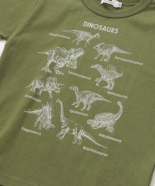 WASK / ワスク Tシャツ | 【速乾】恐竜図鑑プリントTシャツ(80~160cm) | 詳細13
