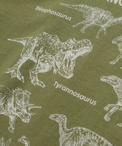 WASK / ワスク Tシャツ | 【速乾】恐竜図鑑プリントTシャツ(80~160cm) | 詳細14