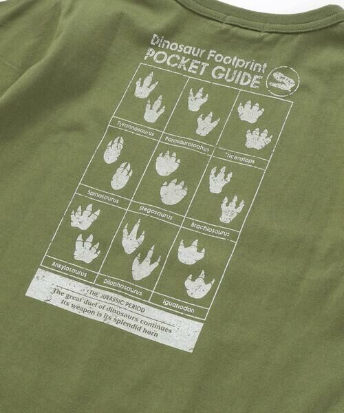 WASK / ワスク Tシャツ | 【速乾】恐竜図鑑プリントTシャツ(80~160cm) | 詳細16