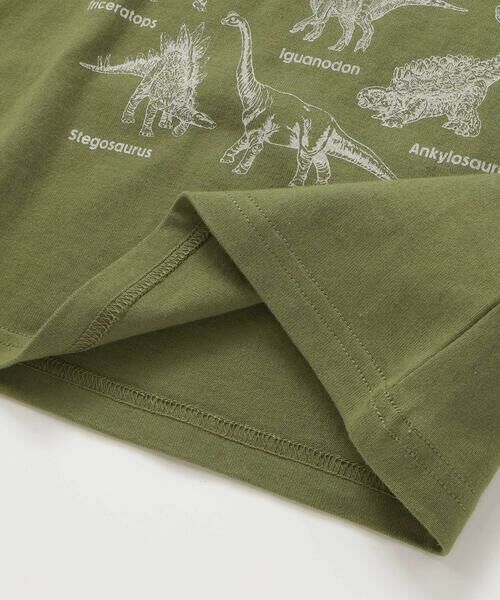 WASK / ワスク Tシャツ | 【速乾】恐竜図鑑プリントTシャツ(80~160cm) | 詳細17