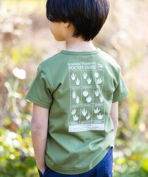 WASK / ワスク Tシャツ | 【速乾】恐竜図鑑プリントTシャツ(80~160cm) | 詳細8