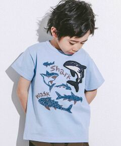 WASK / ワスク Tシャツ | 【接触冷感】WASKシャークTシャツ(100~160cm)