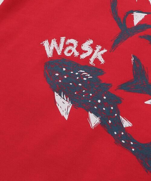 WASK / ワスク Tシャツ | 【接触冷感】WASKシャークTシャツ(100~160cm) | 詳細8