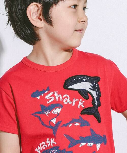 WASK / ワスク Tシャツ | 【接触冷感】WASKシャークTシャツ(100~160cm) | 詳細3