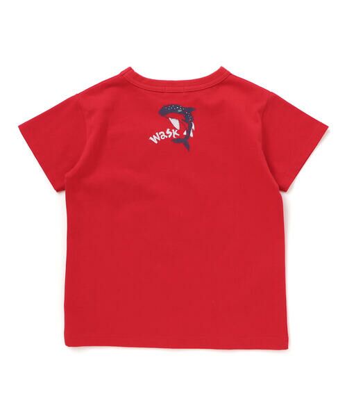 WASK / ワスク Tシャツ | 【接触冷感】WASKシャークTシャツ(100~160cm) | 詳細5