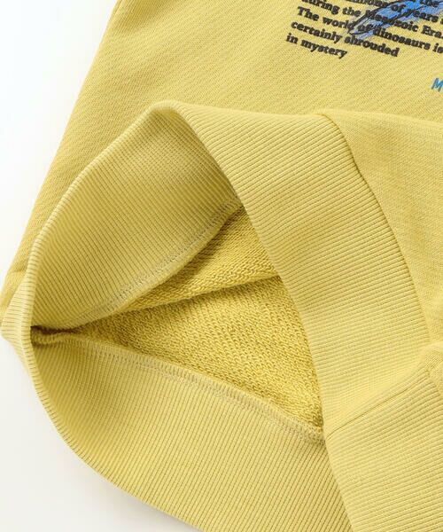 WASK / ワスク スウェット | 恐竜プリントトレーナー(100~160cm) | 詳細19