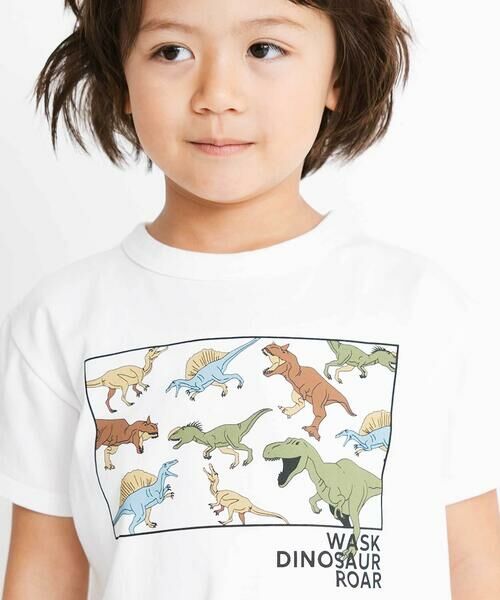 WASK / ワスク Tシャツ | 【接触冷感】ダイナソーフルラインTシャツ(90~160cm) | 詳細3