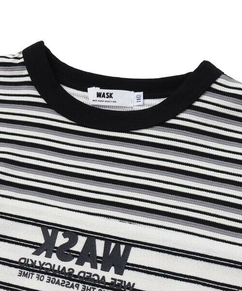 WASK / ワスク Tシャツ | マルチボーダー切り替えTシャツ(110~160cm) | 詳細5